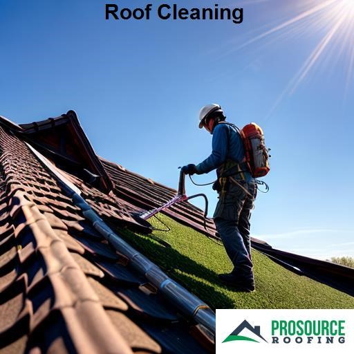 ProSource Roofing Roof Cleaning