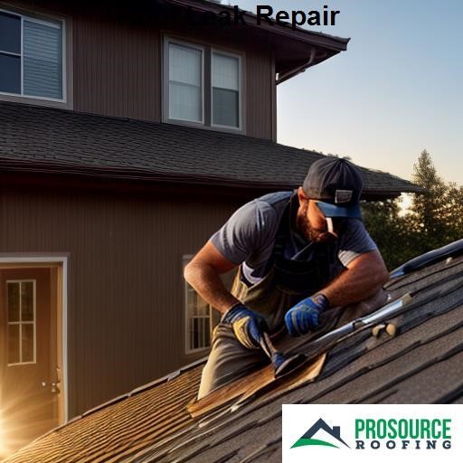 ProSource Roofing Roof Leak Repair