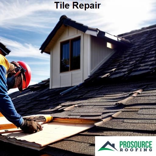ProSource Roofing Tile Repair